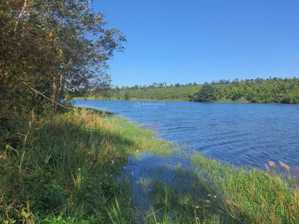 Bán farm cà phê 2,3ha ia grai, có nhà sẵn, giáp hồ, đang khai thác tốt. giá chỉ 5.69 tỷ