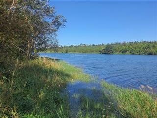 Bán farm cà phê 2,3ha ia grai, có nhà sẵn, giáp hồ, đang khai thác tốt. giá chỉ 5.69 tỷ