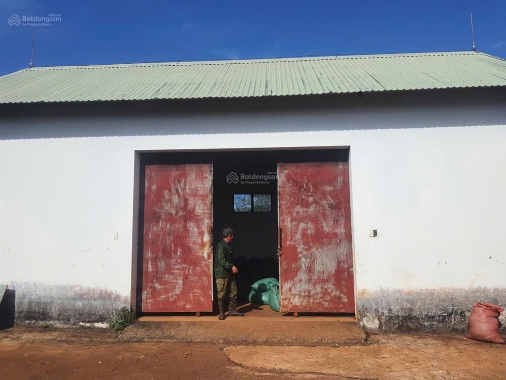 Bán farm cà phê 2,3ha ia grai, có nhà sẵn, giáp hồ, đang khai thác tốt. giá chỉ 5.69 tỷ