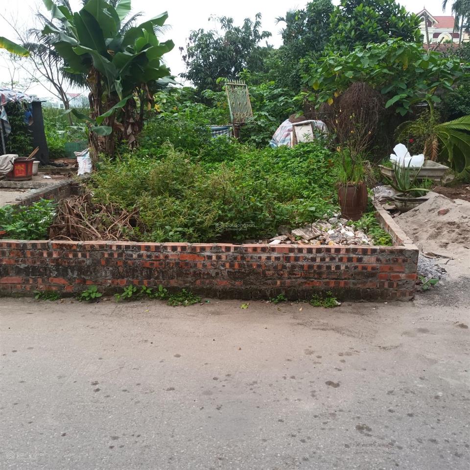 Bán đất ô tô đỗ cửa 86m2, giá 4.96 tỷ tại đường y sơn, phường đồng mai, quận hà đông