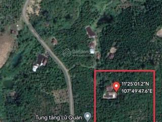 Vườn cà phê nhà mình cần tìm chủ mới diện tích vườn 16520m2. giá 500 triệu / 1000m2