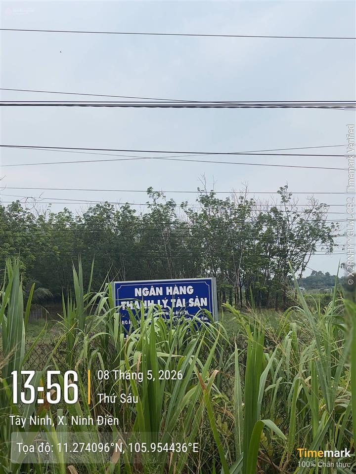 Ngân hàng thanh lý tài sản tại xã ninh điền, tỉnh tây ninh