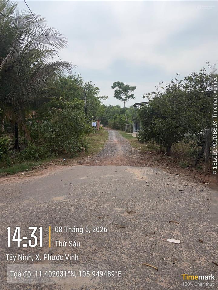 Ngân hàng thanh lý tài sản xã phước vĩnh, huyện châu thành, tây ninh  400 triệu