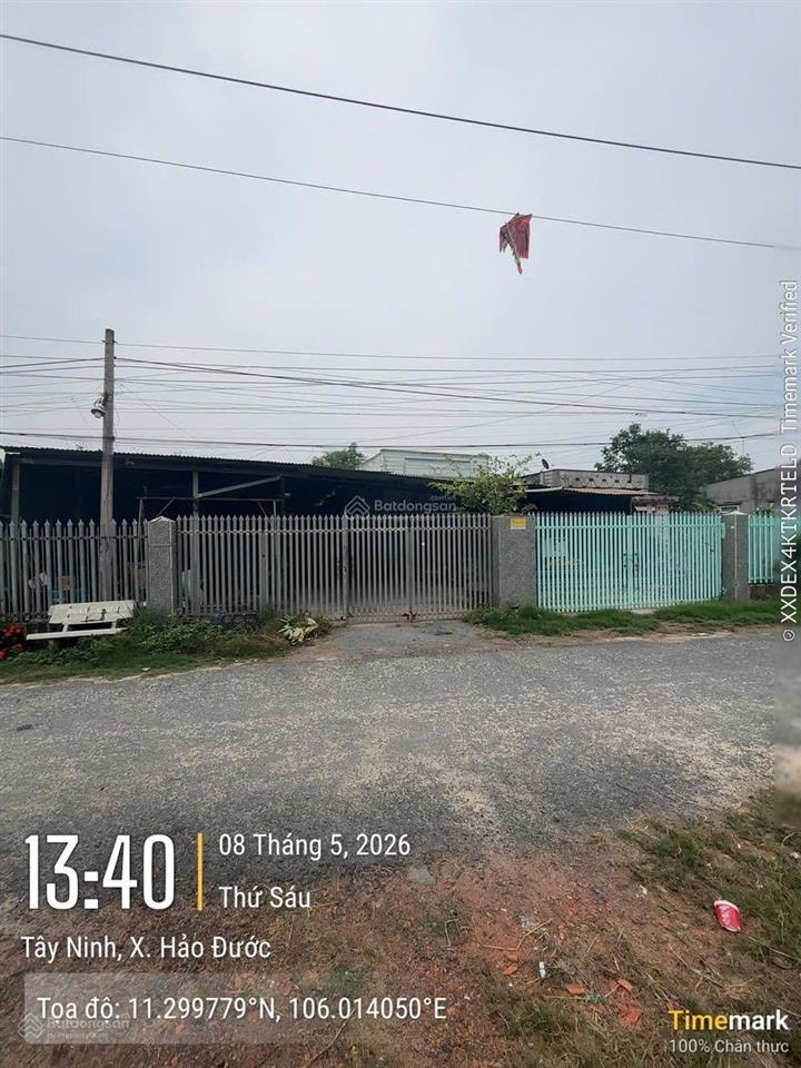 Ngân hàng thanh lý tài sản  xã trí bình, huyện châu thành,tỉnh tây ninh