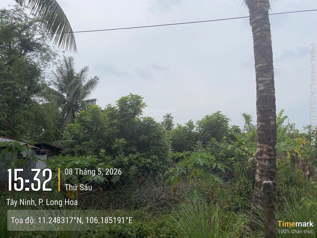 Ngân hàng thanh lý tài sản xã trường đồn, thị xã hoà thành, tây ninh