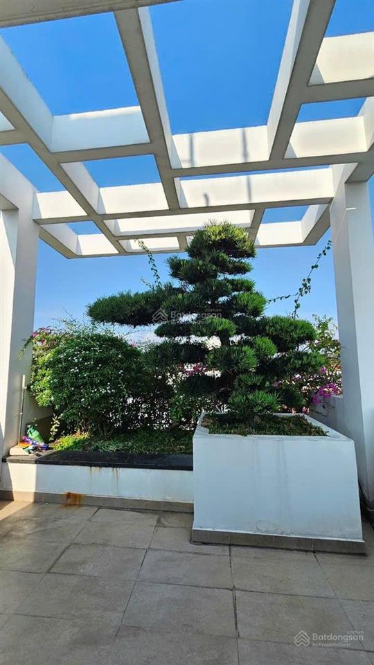 Mặt tiền chợ chữ s  3 lầu ( sân thượng)  vị trí vip của xuân thới đông, hóc môn