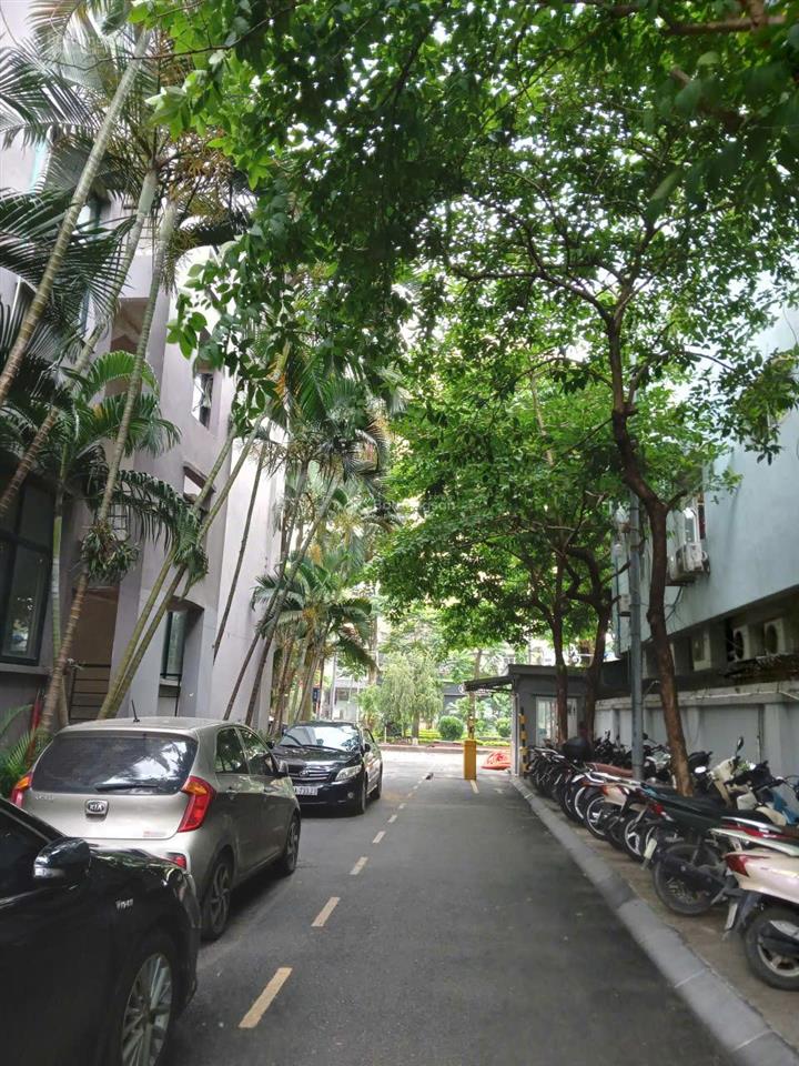 Cho hộ gđ thuê lâu dài chcc 90m2, 3pn, 2wc, nhà đầu hồi, bc hướng đn (hoàng mai, hn). chính chủ