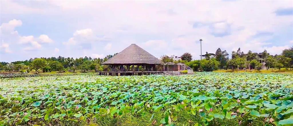 Bán nền thương mại kdc làng sen việt nam