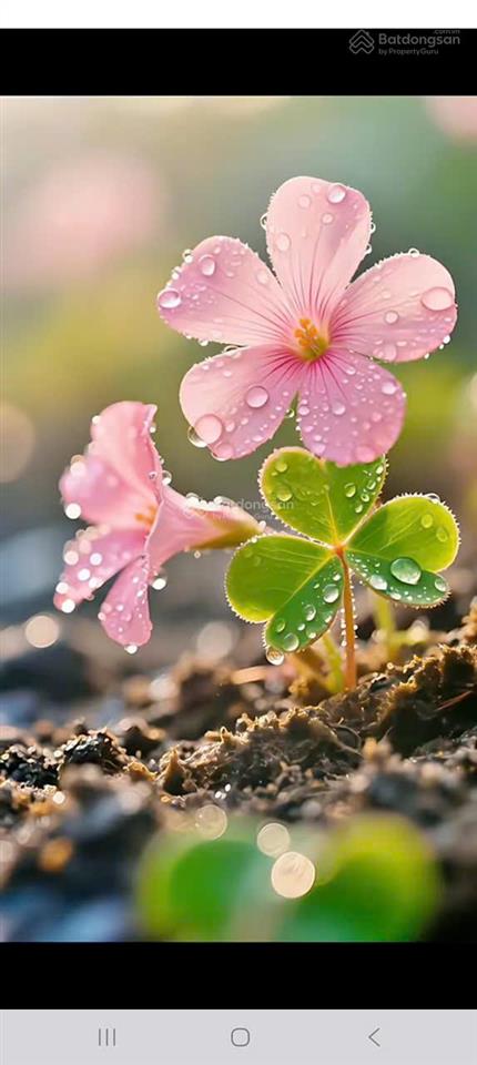 Tôi có căn hộ 3pn,vt gateway cần cho thuê nhanh full nt xinh xắn.  ngay 0909 271 *** ms trinh