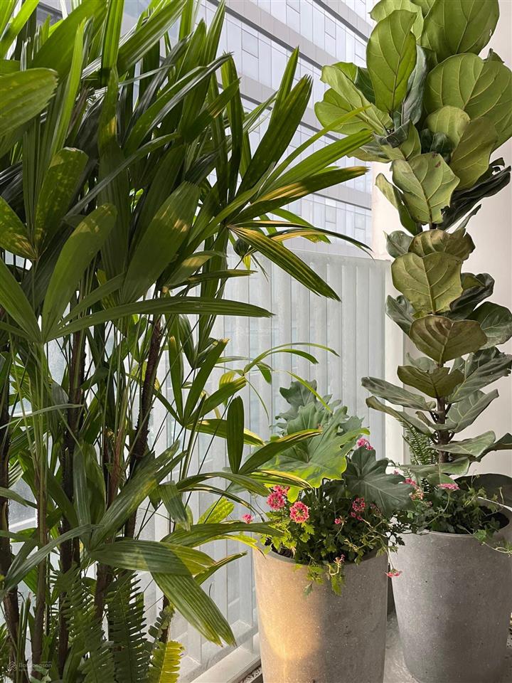 Bán căn hộ hiếm cc hdi tower, view đẹp, 105m2, 3pn, 2wc, giá thỏa thuận . 0942 033 ***