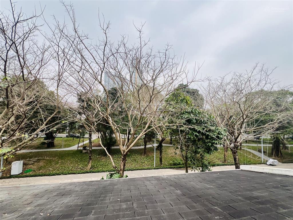 Bán biệt thự song lập mimosa view công viên thoáng mát