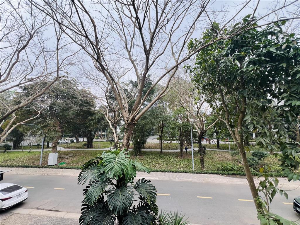 Bán biệt thự song lập mimosa view công viên thoáng mát