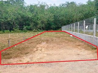 Chủ ngộp cần ra nhanh lô đất ngay 1 sẹc ql22 1 tỷ 3 ngay cầu vượt củ chi 130m2 full thổ cư shr