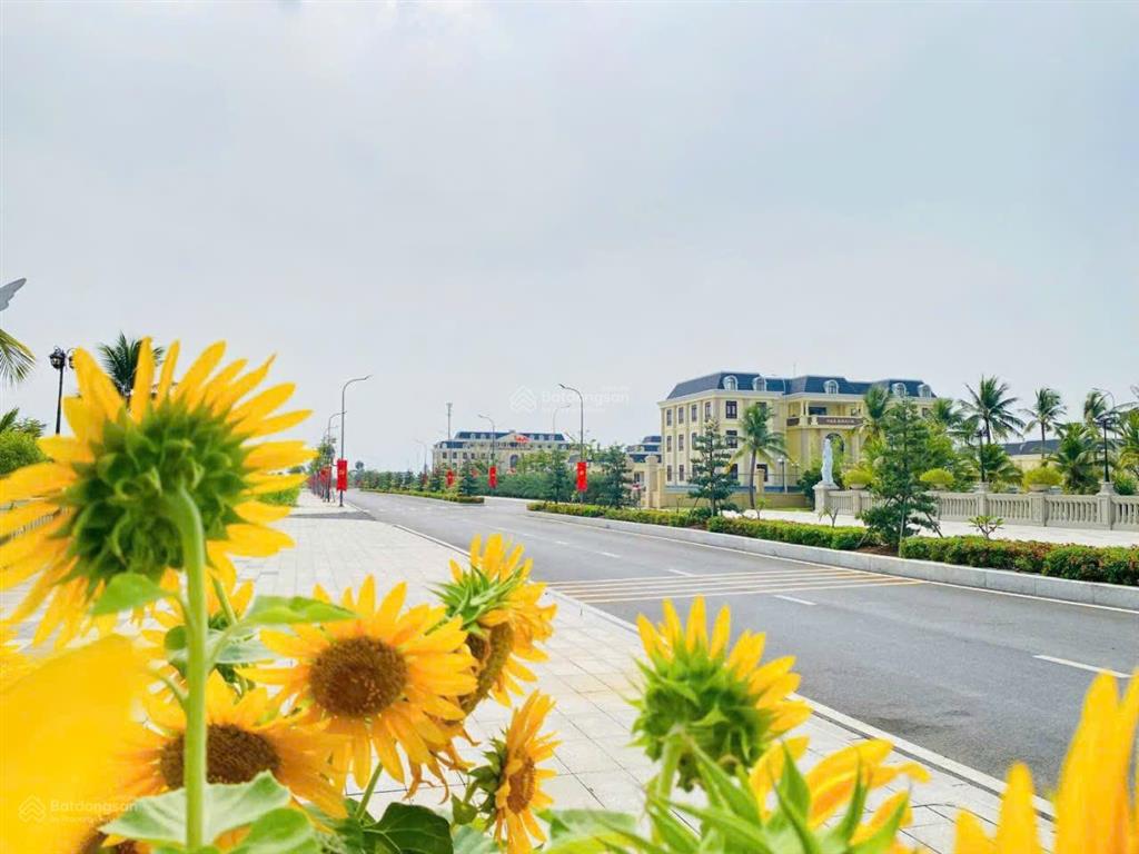 Đất nền biệt thự giá từ 18,3 triệu/m2 tại trung tâm hành chính thủ thừa long an