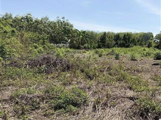 Chính chủ cần tiền bán gấp giá cắt lỗ 1tỷ580, ngang 15 dài 94m, 1334m2 tại an linh, phú giáo.