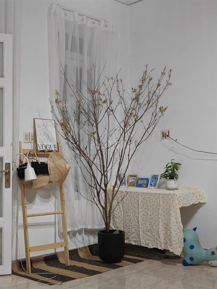 Đang thở oxi, cần tiền bán gấp nhà KP. Tân Tiến - Phường. Xuân Lộc