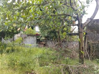 Bán gấp đất đông sơn, 1,35 tỷ, 226m2, mặt tiền 12m