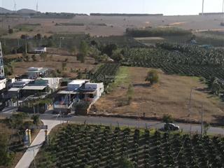 Bán đất mt đt 716, hoà thắng, bắc bình, giá cực chất 10 tỷ, 3000m2