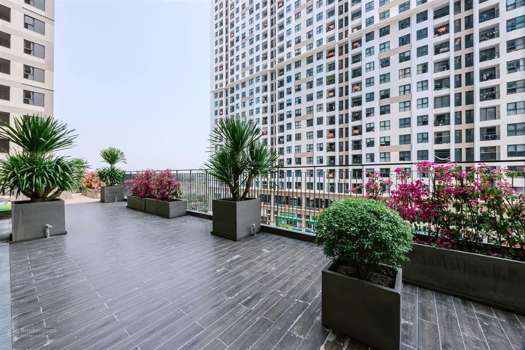 Fpt plaza 3 65m2 | tầng trung | hướng nam | sẵn dòng tiền 12 triệu/tháng