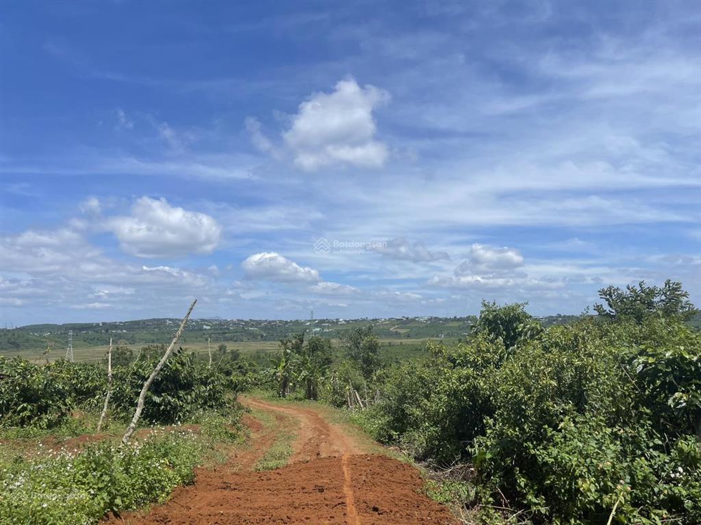 Hot! đất nông nghiệp nam pleiku kiếm lời từ 2,4 ha hơn 320m mặt tiền đường qh thổ cư