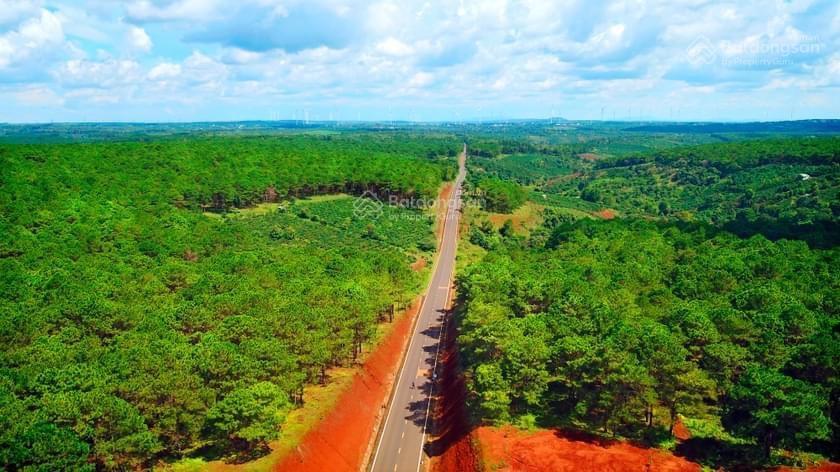 Hot! đất nông nghiệp nam pleiku kiếm lời từ 2,4 ha hơn 320m mặt tiền đường qh thổ cư