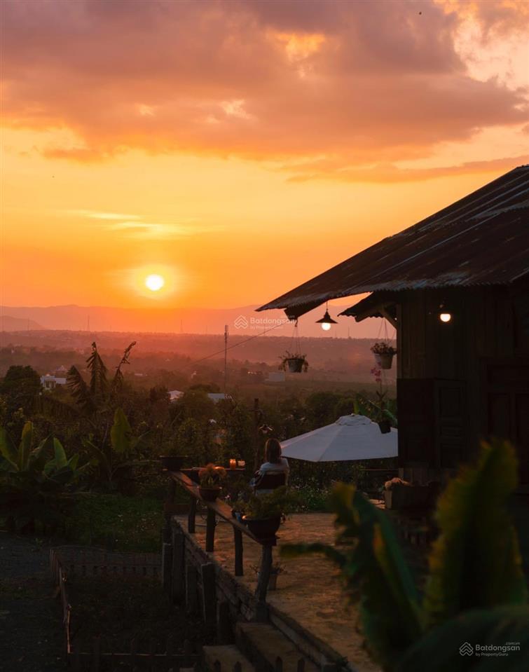 Hot! đất nông nghiệp nam pleiku kiếm lời từ 2,4 ha hơn 320m mặt tiền đường qh thổ cư