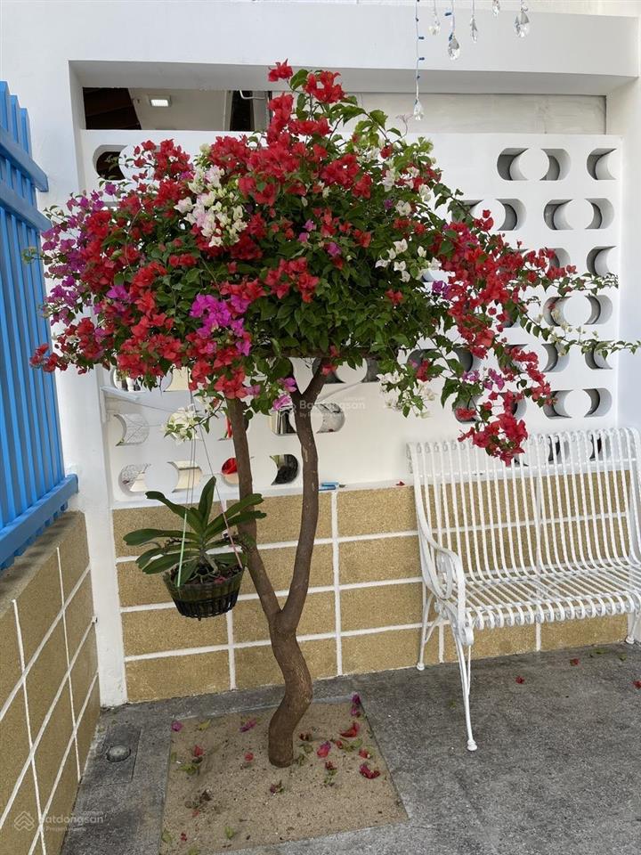 Bán nhà 3 tầng đường lý triện, trung tâm thanh khê, phù hợp ở hoặc kinh doanh lưu trú, giá tốt