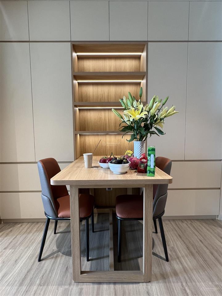 Cho thuê căn hộ 1pn 45m2 chung cư times square đà nẵng biển mỹ khê đối diện công viên biển đông