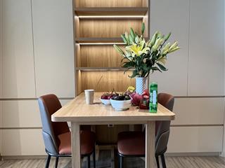 Cho thuê căn hộ 1pn 45m2 chung cư times square đà nẵng biển mỹ khê đối diện công viên biển đông