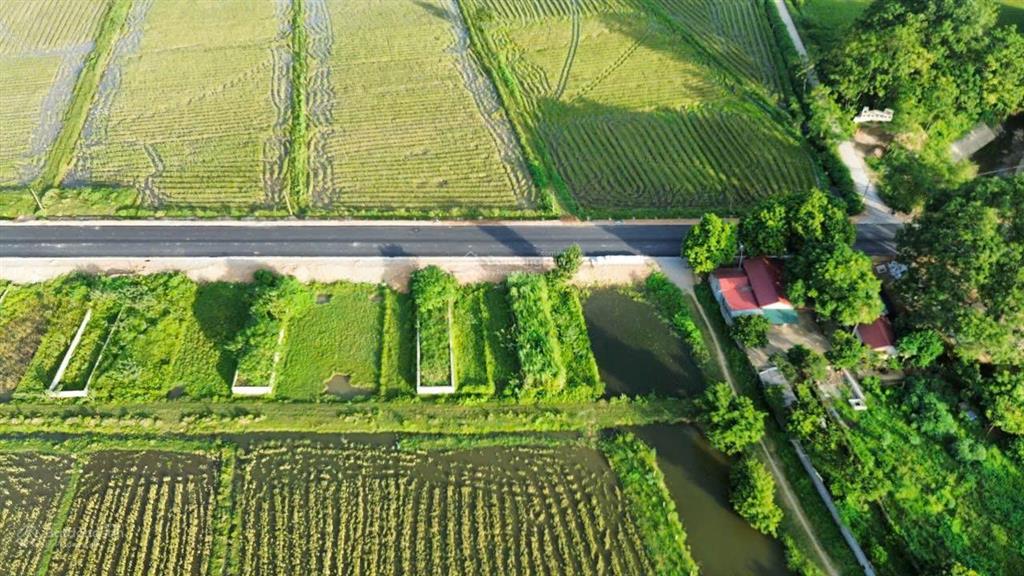 Chính chủ bán lô đất cách đường hồ chí minh 150m, dt 100m2, đất vuông vắn, đã có sổ đỏ