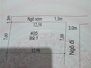 Chính chủ bán lô góc hai mặt tiền đường trung tâm thôn đồi miễu, xã xuân mai. giá 1,3 tỷ