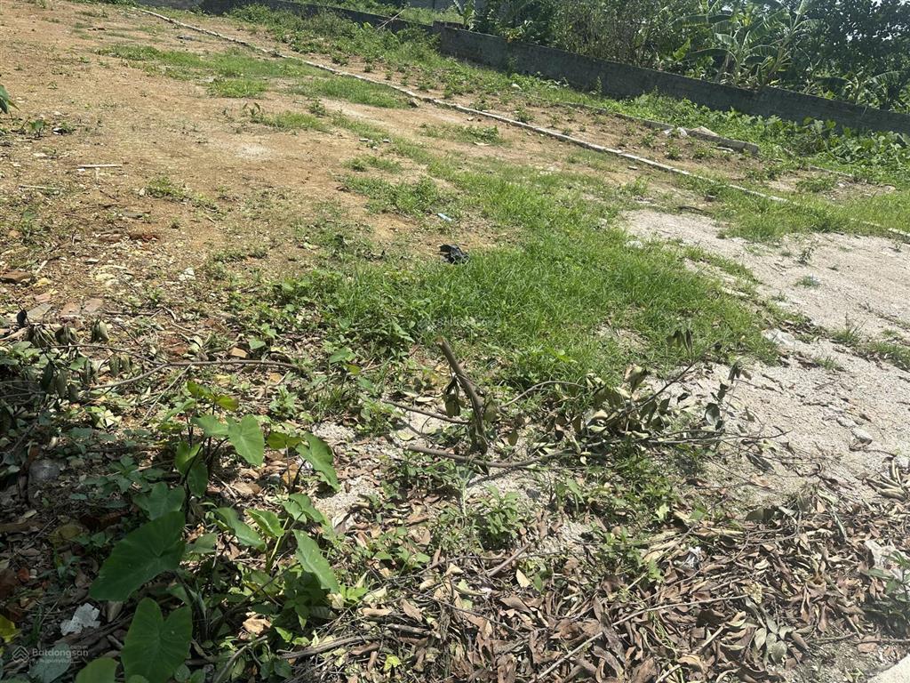 Chủ cần tiền bán nhanh 66m gần chợ bê tông thuộc xã xuân mai hà nội