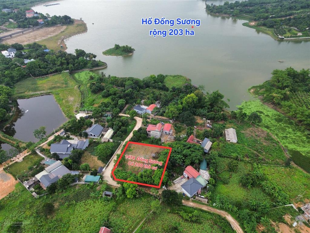 Gia đình cần bán gấp lô đất vô cùng tiềm năng dt 1474m2 ont 200m tại xã liên sơn lương sơn hòa bình