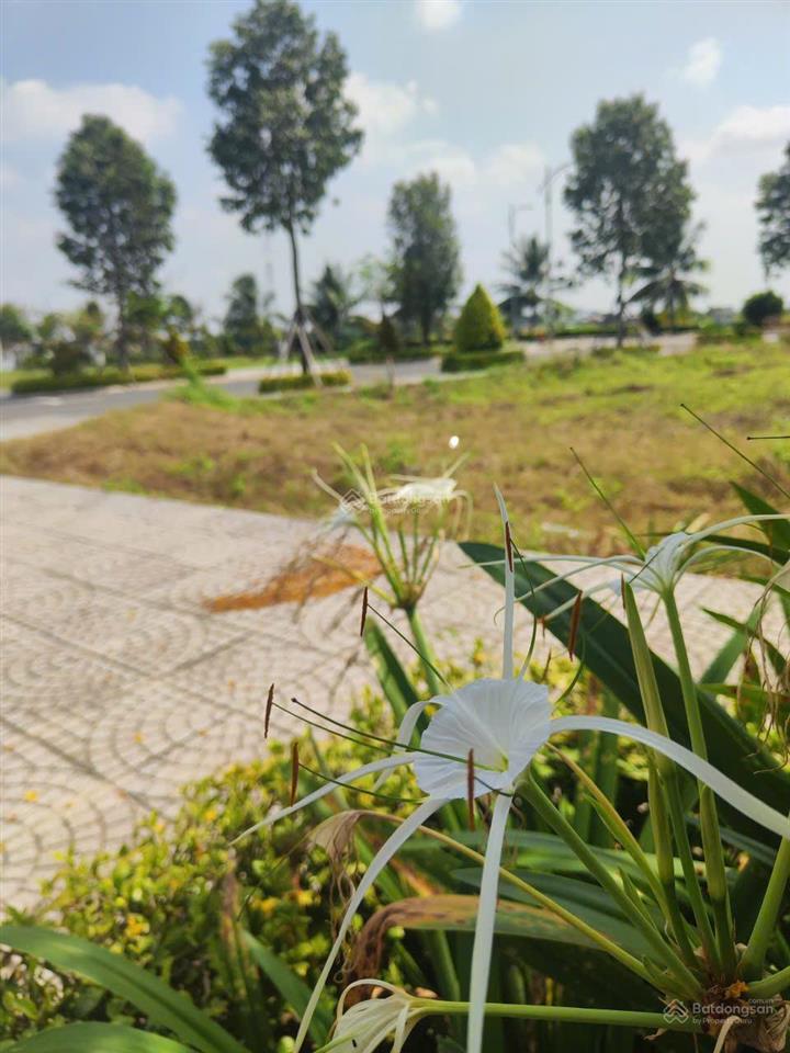 Bán gấp đất thổ cư 100m2 đường nguyễn hữu trí giá 2 tỷ 555 tr. xây dựng ngay   0394 000 *** oanh