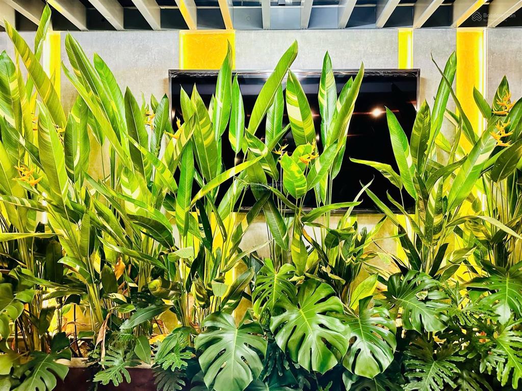 Mizuki park nam long chuẩn sống nhật bản giữa lòng nam sài gòn. 3pn chỉ từ 6,6 tỷ.  0394 000 ***