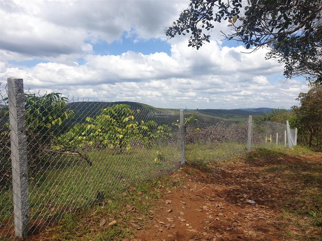 Chính chủ cần bán 12695m2 đất xã quảng tín, lâm đồng. giá 3 tỷ