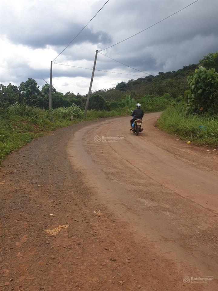 Chính chủ cần bán 12695m2 đất xã quảng tín, lâm đồng. giá 3 tỷ