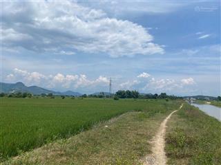 Chính chủ cần bán 845m2 đất lúa xã bình lộc  sổ hồng riêng