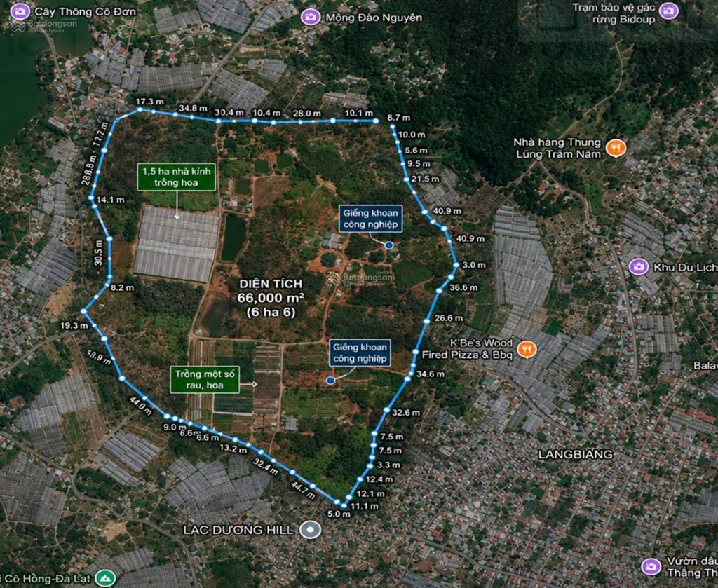 Bán 6,6ha chân núi lang biang, đà lạt. có 887m2 đất ở đô thị, quy hoạch thương mại dịch vụ