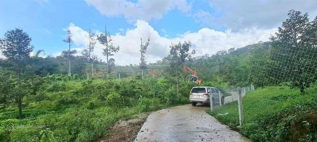 Chính chủ bán đất view suối đẹp, đạ huoai, lâm đồng