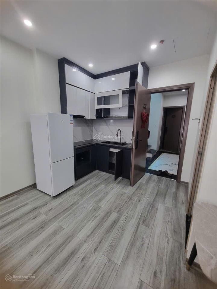 Cho thuê căn hộ 42m2 1 ngủ riêng biệt full đồ, có ban công phố tư đình giá 6,5 triệu 0916 393 ***