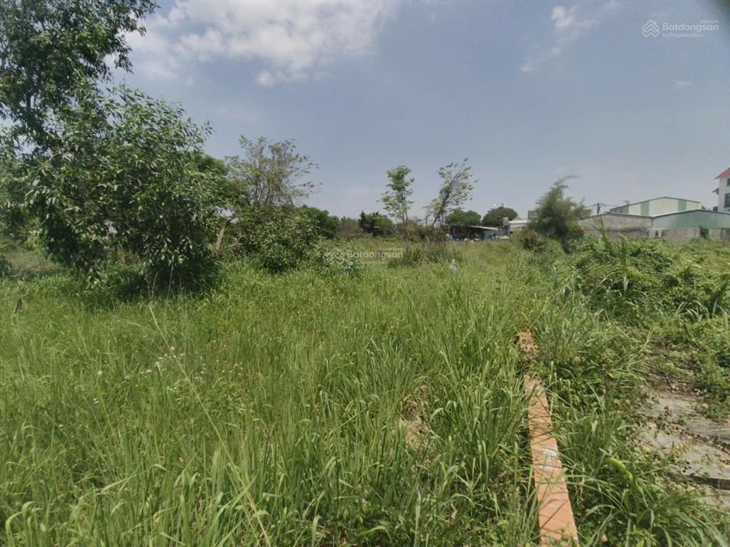 Bán đất tại hồ văn tắng, củ chi 72 tỷ, 5340 m2, giá cực chất!