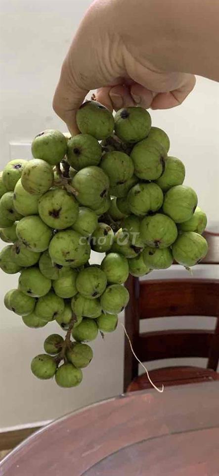 Chính chủ cần cho thuê phòng trọ