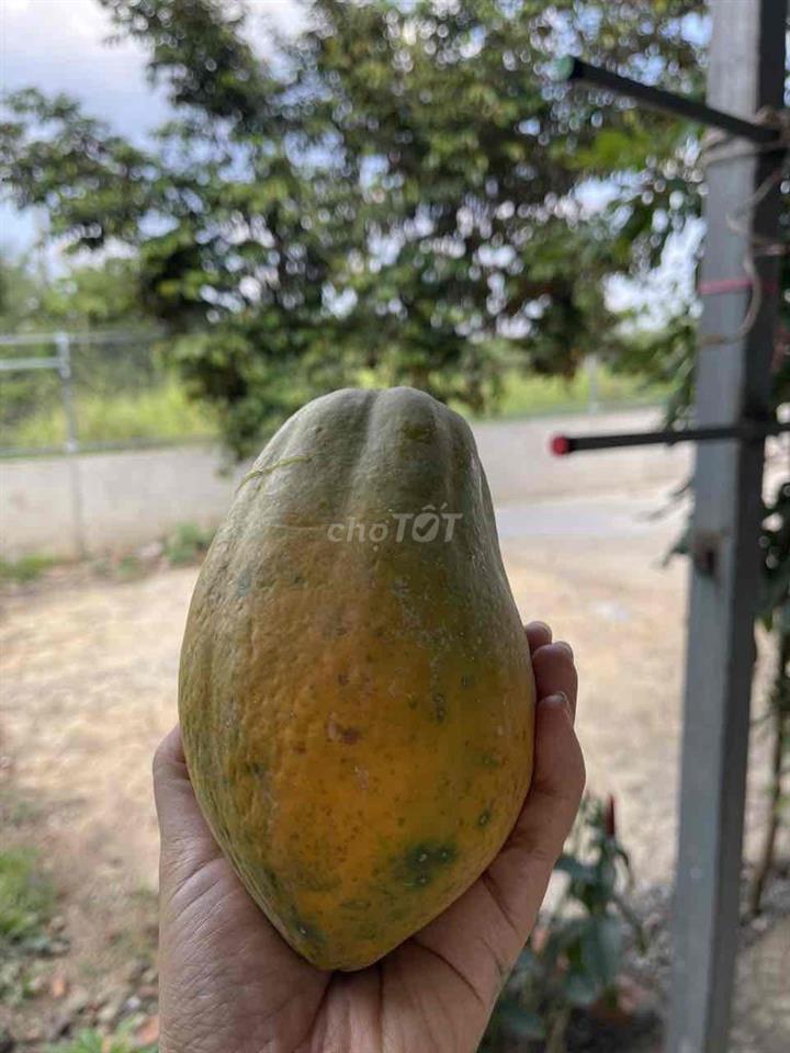 Chính chủ cần cho thuê phòng trọ