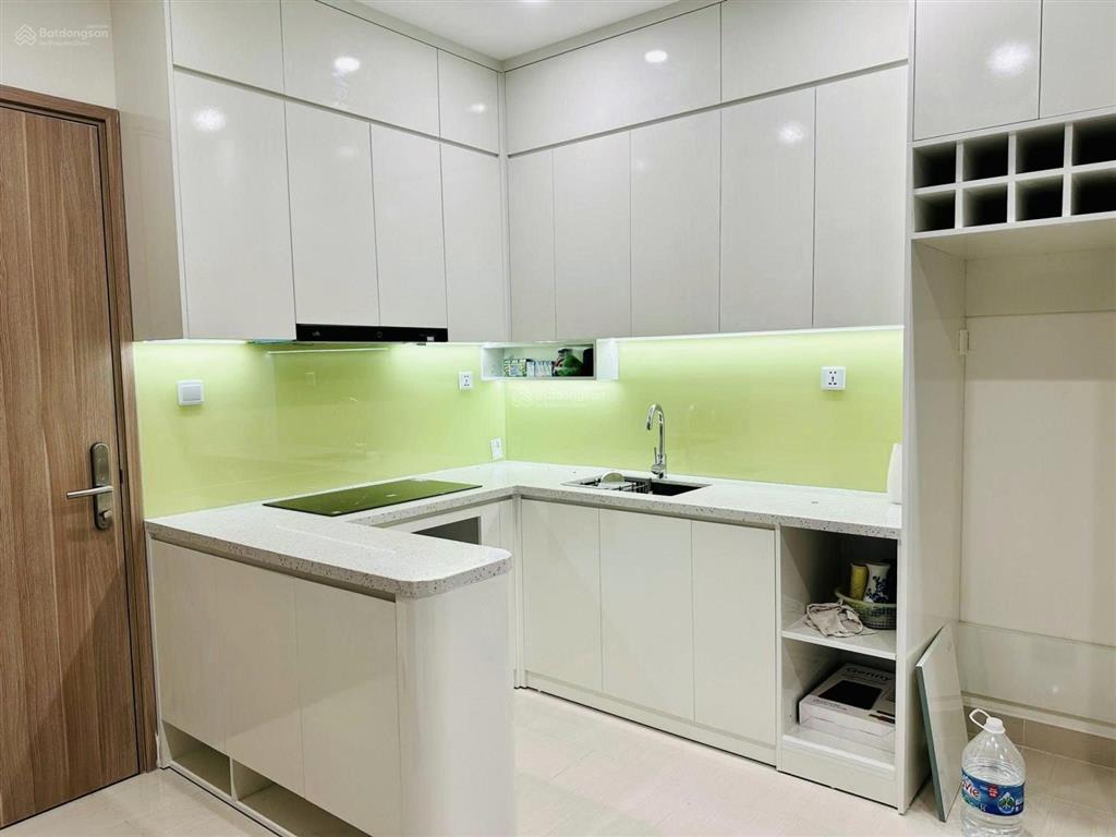 Giá thật căn hộ 1 ngủ+ tòa the sapphire, bán 2,9 tỷ, 43m2 tại tây mỗ, nam từ liêm, hà nội