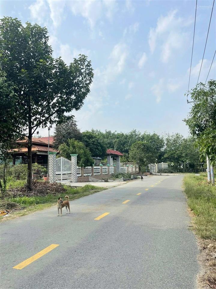 Chủ bán đất cho thuê 10tr/th sát chợ long nguyên, 1123m2 shr, ngay mt đường nhựa, sẵn thổ