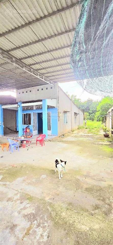 Mt tỉnh lộ 15  868m2 có thổ cư ngang 16m giá chốt chỉ 9 tỷ