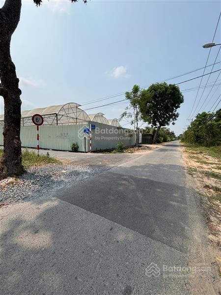 Bán 2553.6m2  mt đoàn minh triết 2 mặt tiền ngang 100m chỉ 3.5 tỷ