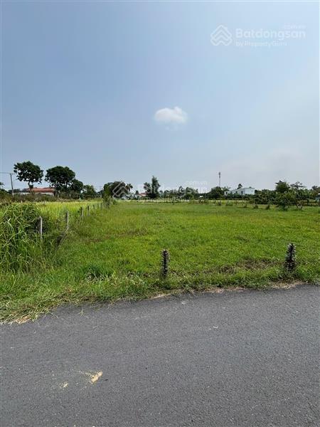 Bán 2553.6m2  mt đoàn minh triết 2 mặt tiền ngang 100m chỉ 3.5 tỷ