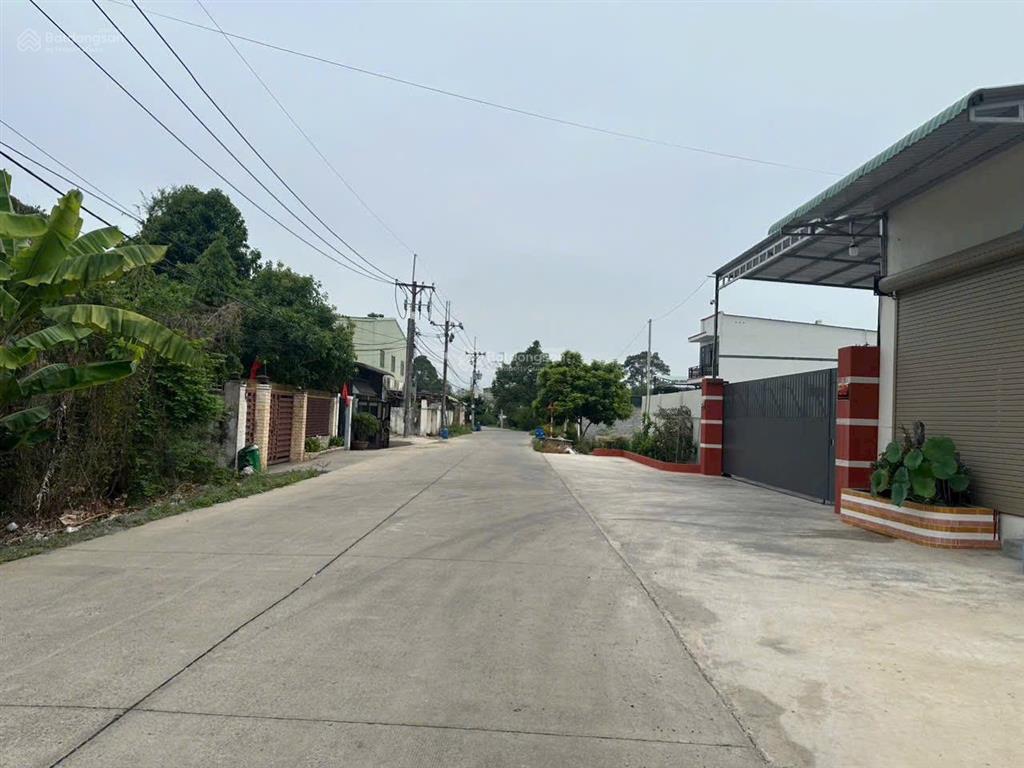 Giảm mạnh chỉ 1 tỷ 260 500m2  đất đẹp cây trôm, mỹ khánh củ chi